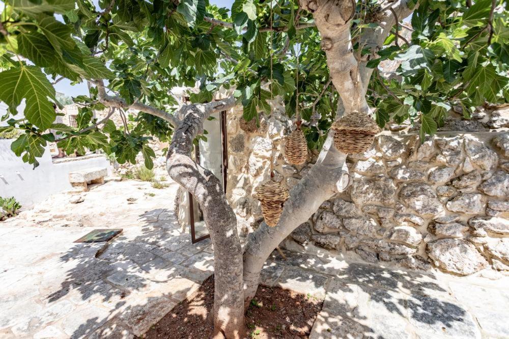 Trullo Santovia Bed & Breakfast Sant Isidoro  Exterior photo